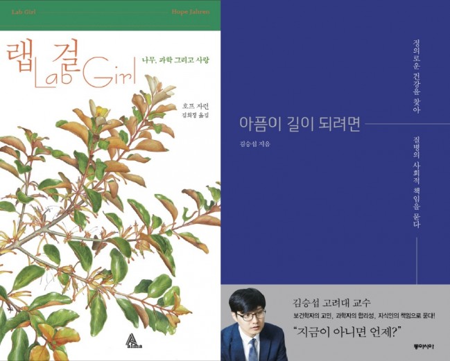 알마, 동아시아 제공